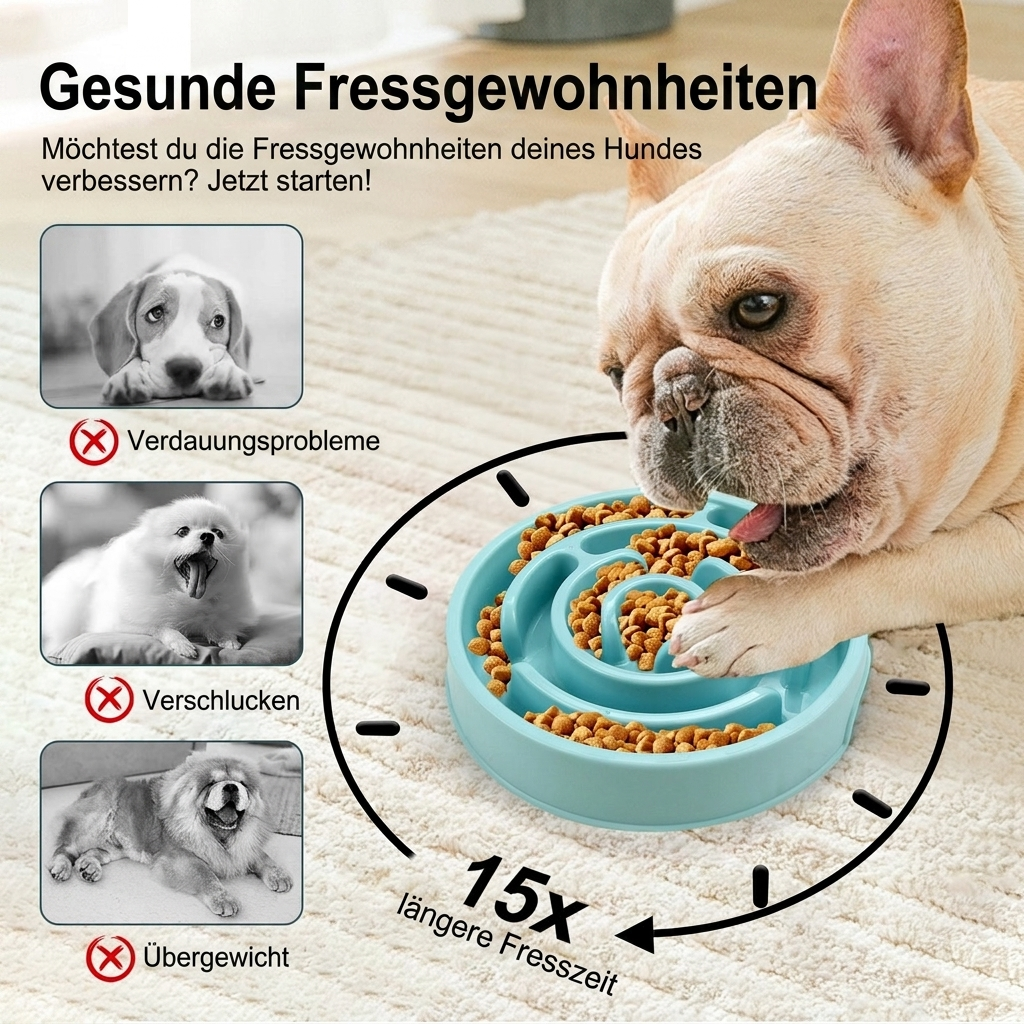 Gesunde Fressgewohnheiten mit dem Anti-Schling-Napf